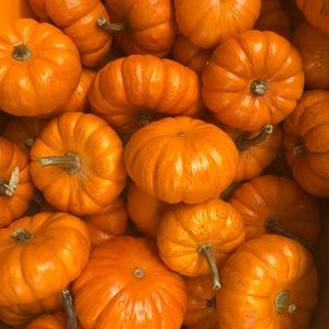 Meet your Posher, Fernanda